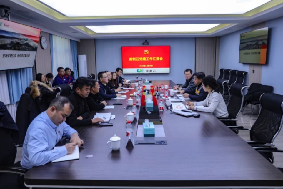 主题教育 | 力神电池党委副书记、副总司理王战一行调研美利云主题教育开展情形