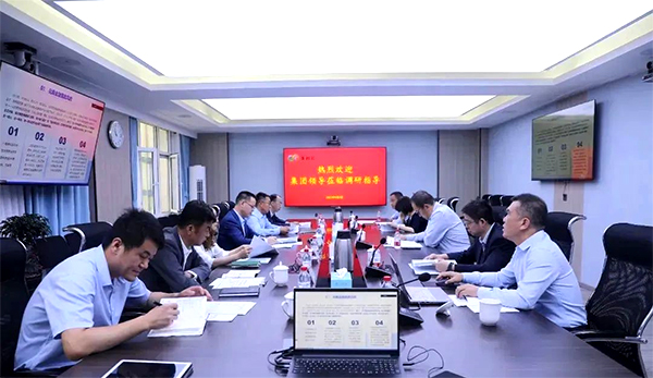 中国诚通副总司理黄景安一行考察调研集团在宁企业